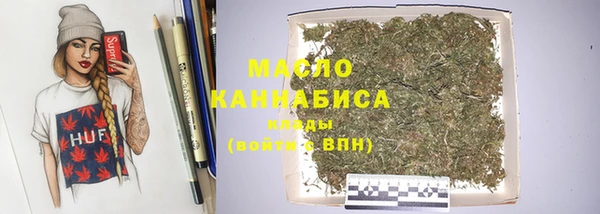гидра Богородск