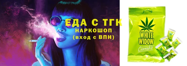 mdpv Бородино