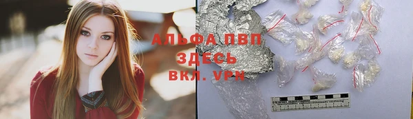 mdpv Бородино