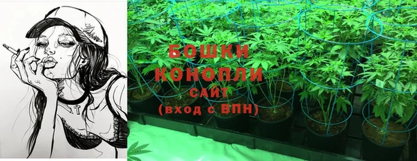 стафф Богородицк