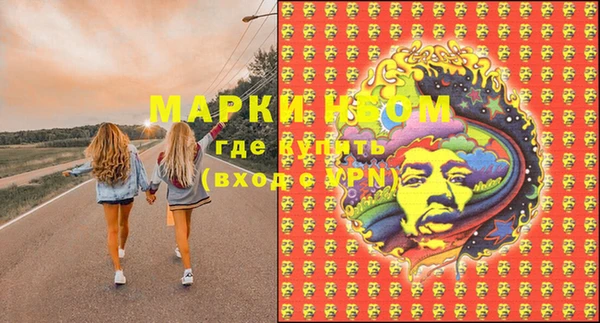 стафф Богородицк