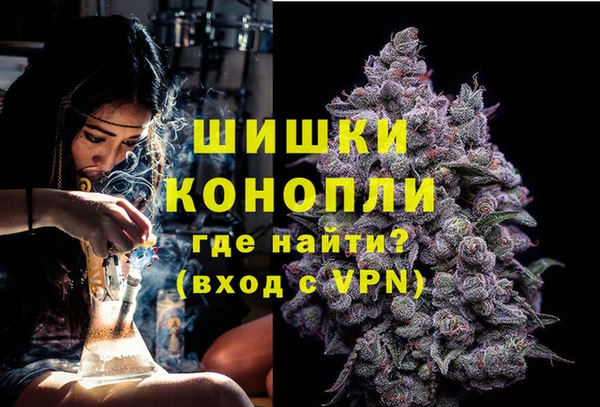 стафф Богородицк
