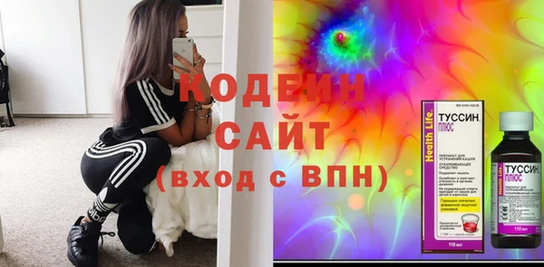 гидра Богородск